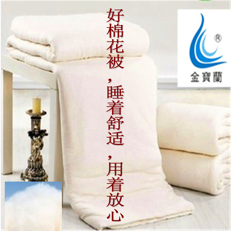 河南兰考考城镇：孝善重阳暖人心 统战聚力促乡风